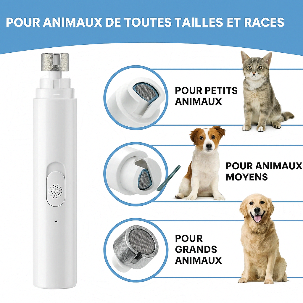 Lime à griffes électrique - Minoaa™