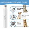 Lime à griffes électrique - Minoaa™