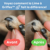 Lime à griffes électrique - Minoaa™